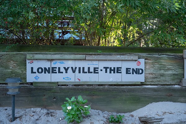Lonelyville Real Estate